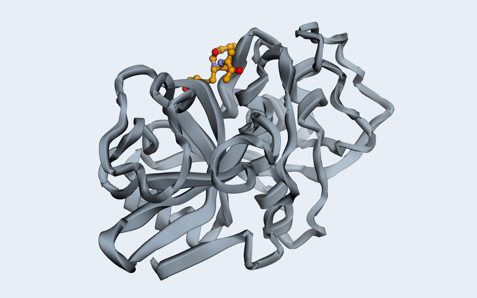 Cruzain, the protein on the bench, with a docked compound in orange